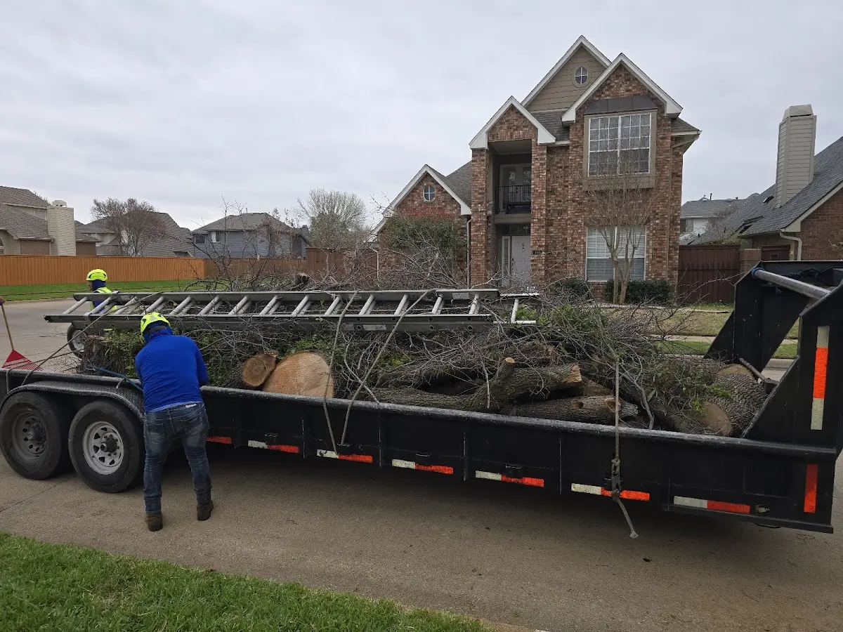 Expert Tree Removal with proper safety equipment in Sherwood